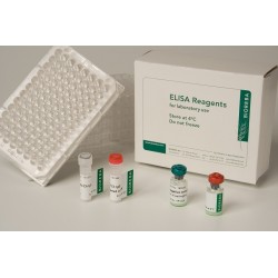 Lettuce mosaic virus LMV Reagent set 960 Tests VE 1 Set