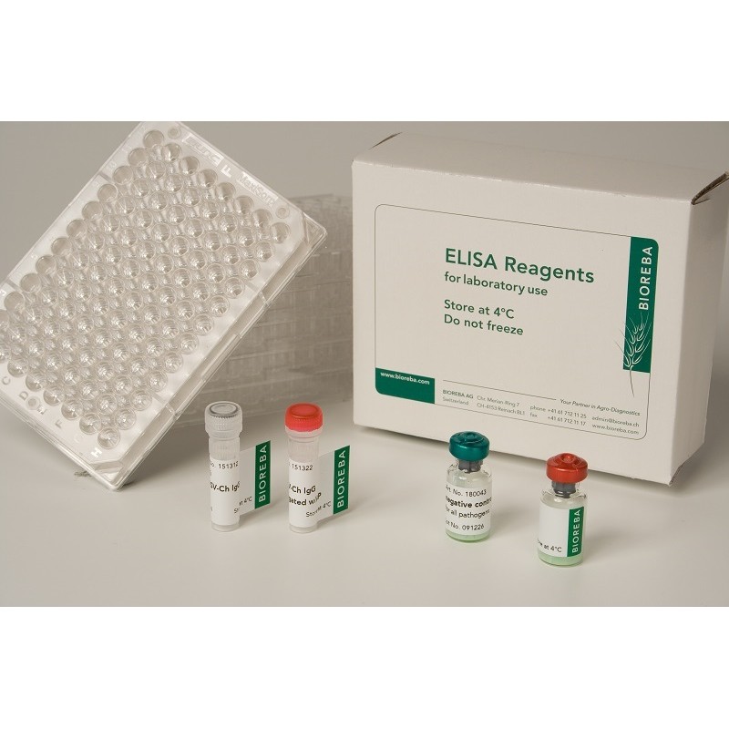 Pelargonium leaf curl virus PLCV Reagent set 480 assays pack 1